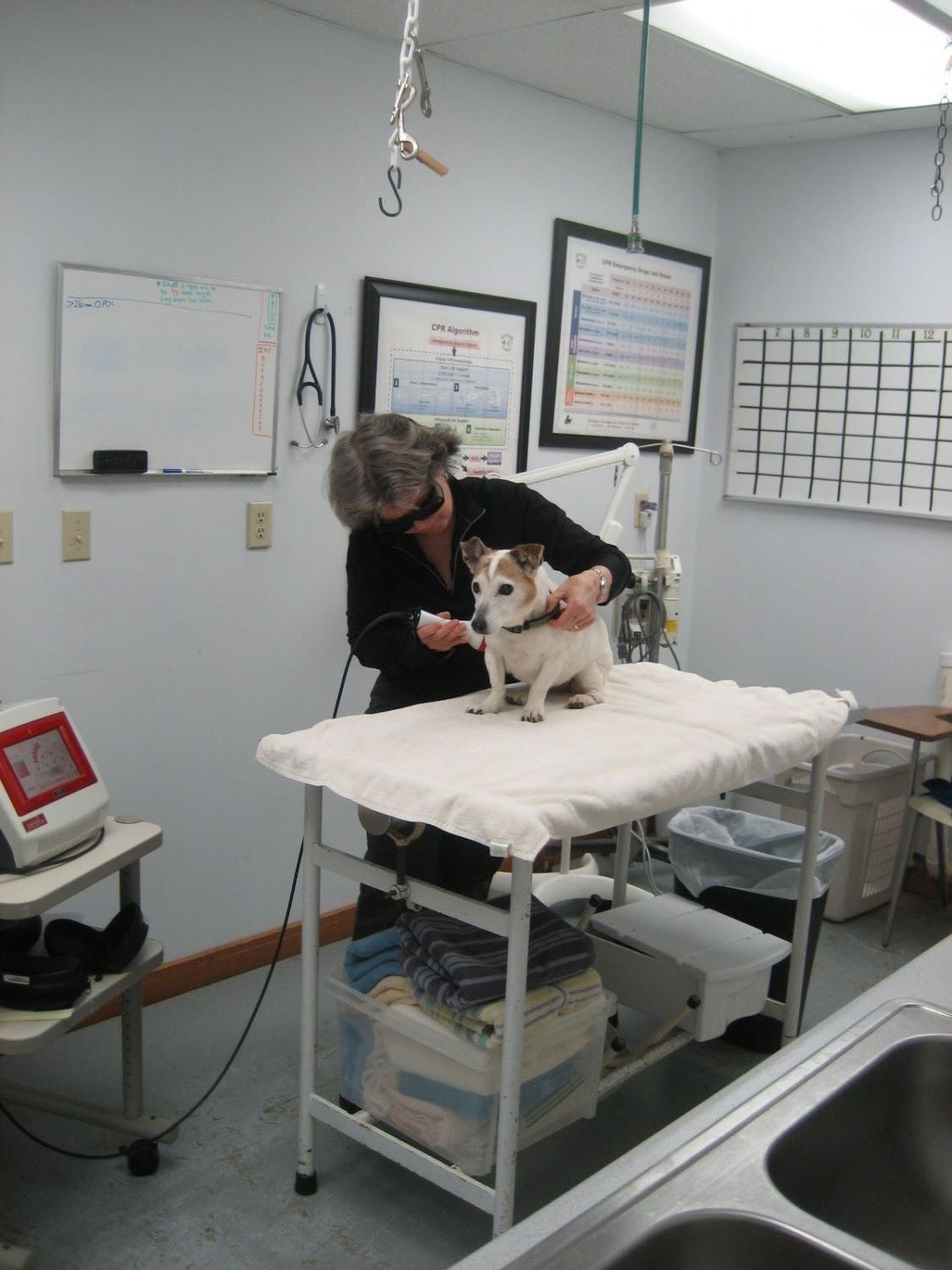 Companion COLD LASER THERAPY