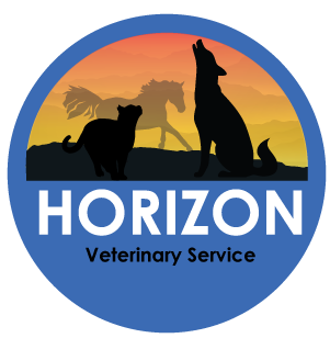 Horizon pet sales hospital
